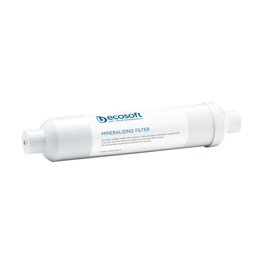 Ecosoft Mineralization Filter